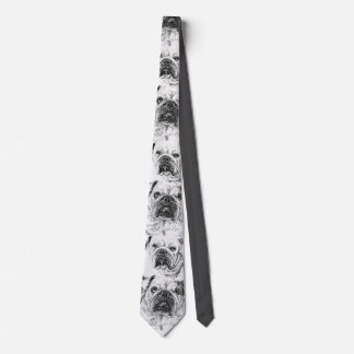 Cravate BALD DIVAS Necktie Homme