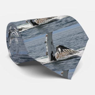 Cravate Baleine à bosse