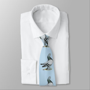 Cravate Barre Bleue Berliner Tumbler Pigeon