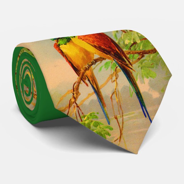 Cravate beautiful birds print (Roulé)