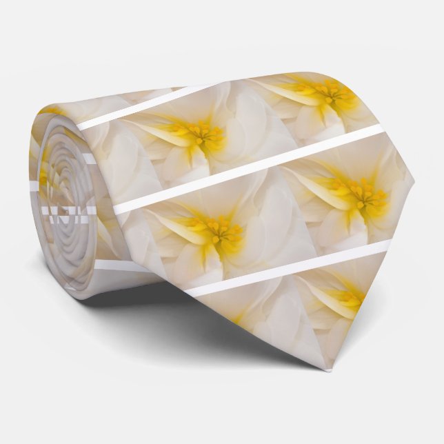 Cravate Bégonie blanche (Roulé)