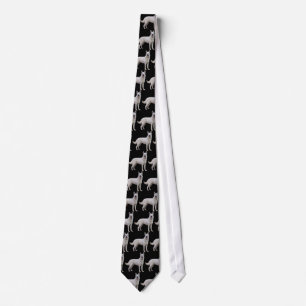 Cravate blanche 2 de bergers allemands