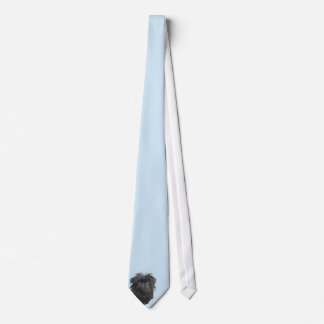 Cravate Bleu d'Affenpinscher avec les diamants blancs