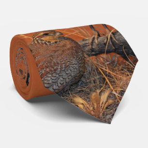 Cravate Bobwhite Quail (Géorgie, Missouri et Tennessee)