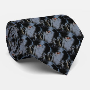 Cravate Bordure noire Collie Chien Visage Animal Art Motif