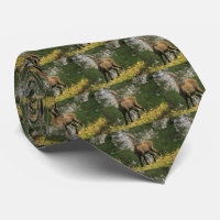 Bouquetin sauvage alpin, de capra, ou steinbock