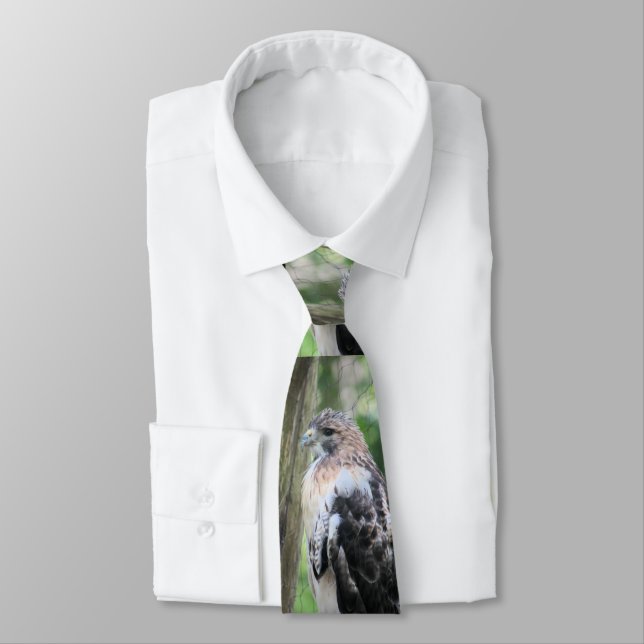 Cravate Buse à queue rouge (Attaché)