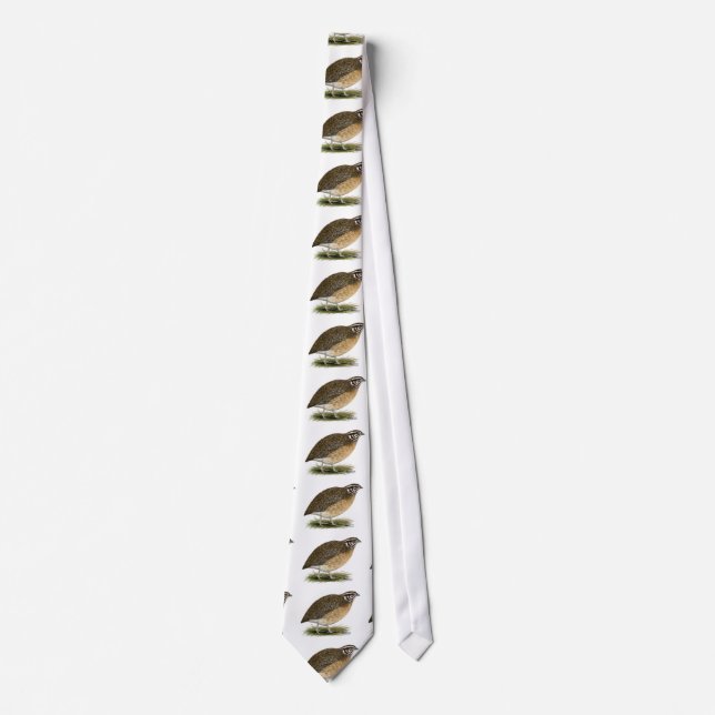 Cravate Cailles de pharaon de Coturnix (Devant)