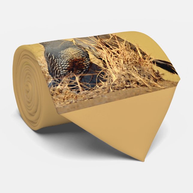 Cravate Cailles de vallée (la Californie) (Roulé)