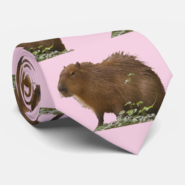 Cravate Capybara (Roulé)