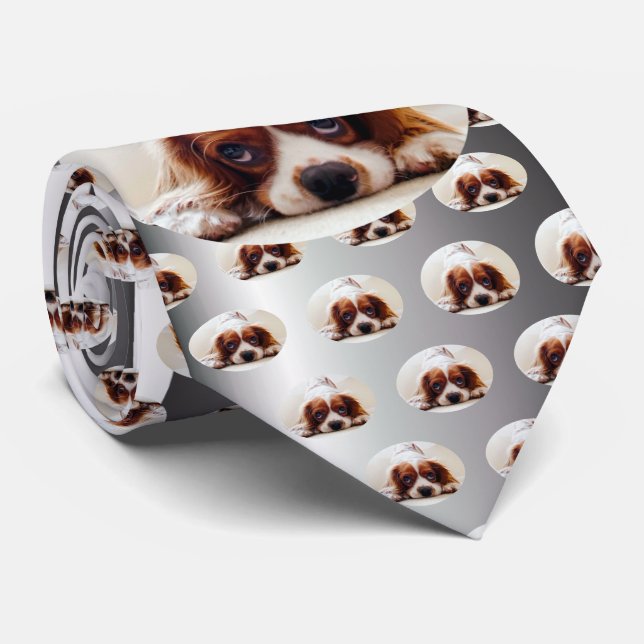 Cravate Cavalier King Charles Spaniel (Roulé)