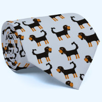 Cavalier King Charles Spaniel Chien