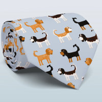 Cavalier King Charles Spaniel Chien