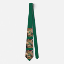 Chat lutin de la Saint-Patrick