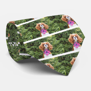 Cravate Chiots Cavalier King Charles au drapeau américain