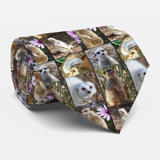Cravate Collage photo de Meerkat, (Roulé)