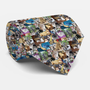 Cravate Collarge photo Kitten,