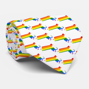 CRAVATE DE LA FIERTÉ LGBTQ MASSACHUSETTS