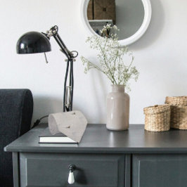 Cravate Desert Lizard sur le trottoir gris