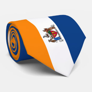 Cravate Drapeau d'Albany (New York)