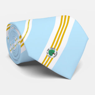 Cravate du drapeau de la ville d'Ann Arbor (Michig
