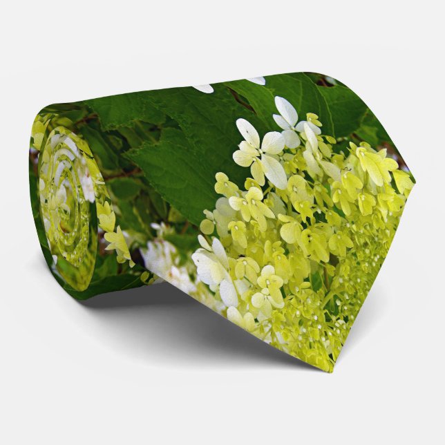 Cravate Élégante Chartreuse Vert Limelight Hydrangea (Roulé)