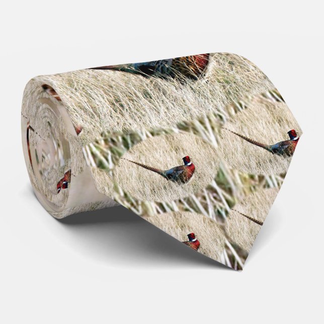 Cravate Faisan de cou d'anneau dans le pré (Roulé)