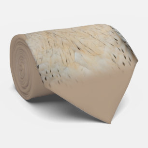 Cravate Faucon hybride Gyrfalcon Saker