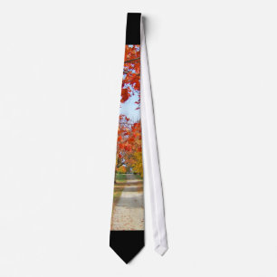 Cravate Feuille d'automne de chute