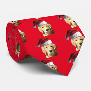 Cravate Golden retriever utilisant un casquette du père