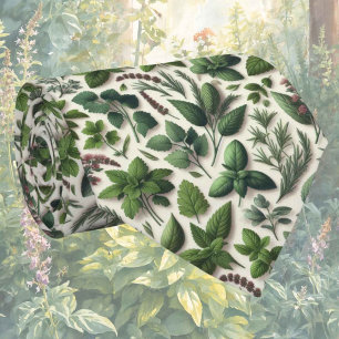 Cravate Herbes fraîches de jardin Chemise de cuisine pou