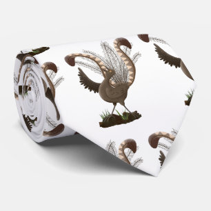 Cravate Illustration de superbe et superbe lyrebird