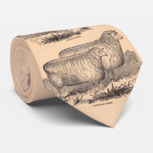 Cravate Impression de brebis Cotswold du 19e siècle