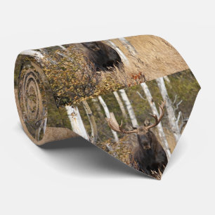 Cravate Impressionnant orignal