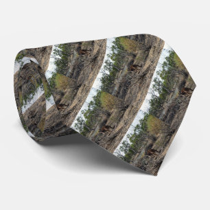 Cravate Kangaroo Pendant Ce Temps Sur Le Billabong,