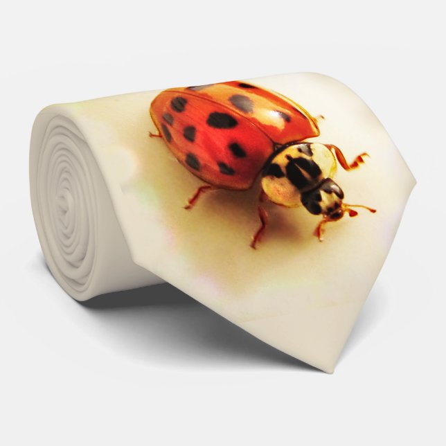 Cravate Ladybug (Roulé)