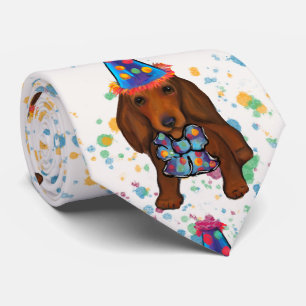 Cravate Long Haired Dachshund