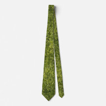 Lush Green Moss