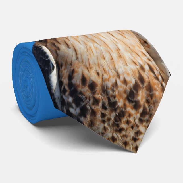 Cravate Magnifique Buse à queue rouge au soleil (Roulé)