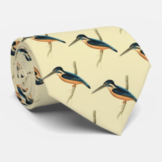 Cravate Martin-pêcheur asiatique