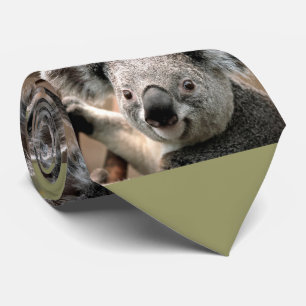 Cravate mignonne de photo d'ours de koala (arrièr