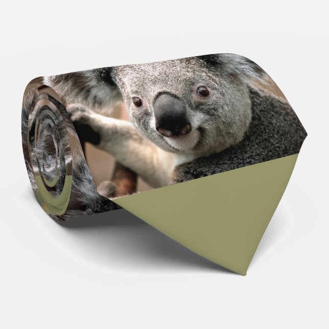 Cravate mignonne de photo d'ours de koala (arrière (Roulé)