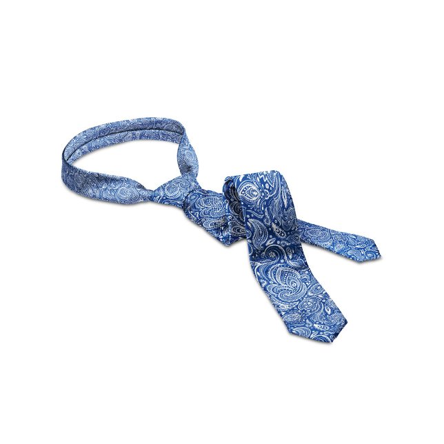 Cravate Motif blanc et bleu Floral Paisley (Créateur téléchargé)