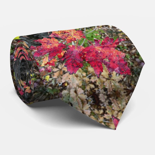 Cravate / motif feuille automne (Roulé)