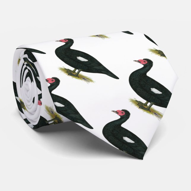 Cravate Muscovy Drake noir (Roulé)