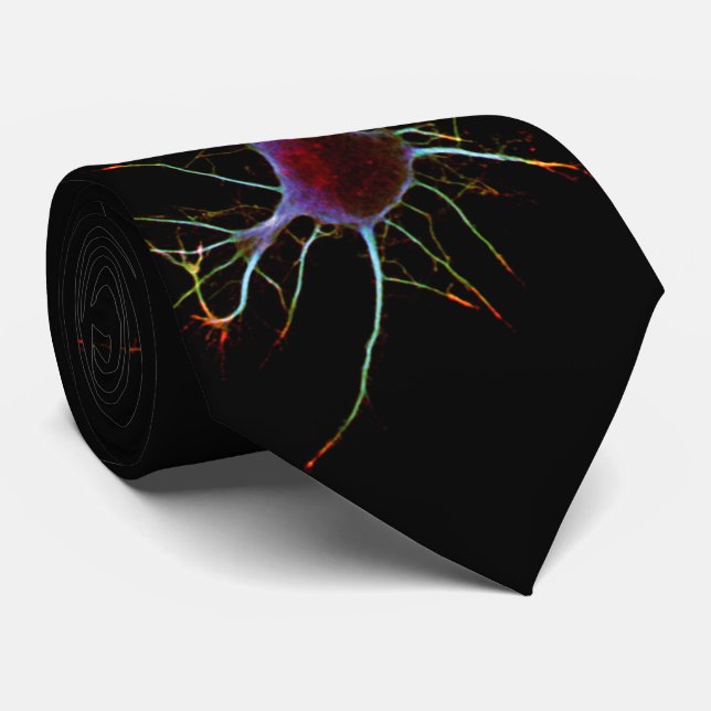Cravate Neuroscience, neuron, science (Roulé)