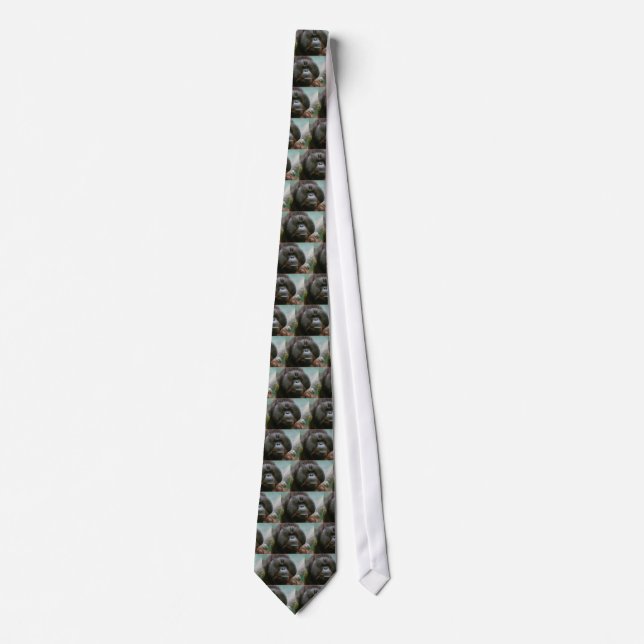 Cravate orang-outan masculin (Devant)