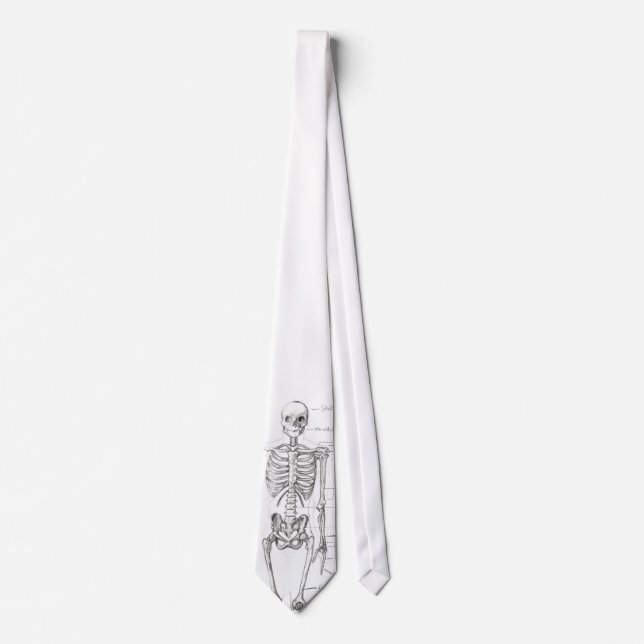 Cravate Os… (Devant)