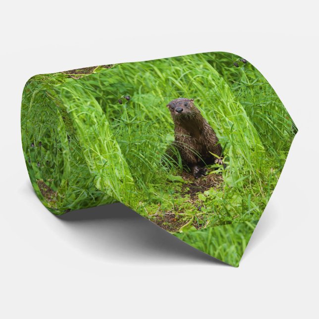 Cravate Otter (Roulé)
