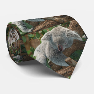 Cravate Ours de koala de sommeil